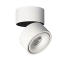 Luce Piu - LED Cylinder Spotlight 12W Adjustable - White